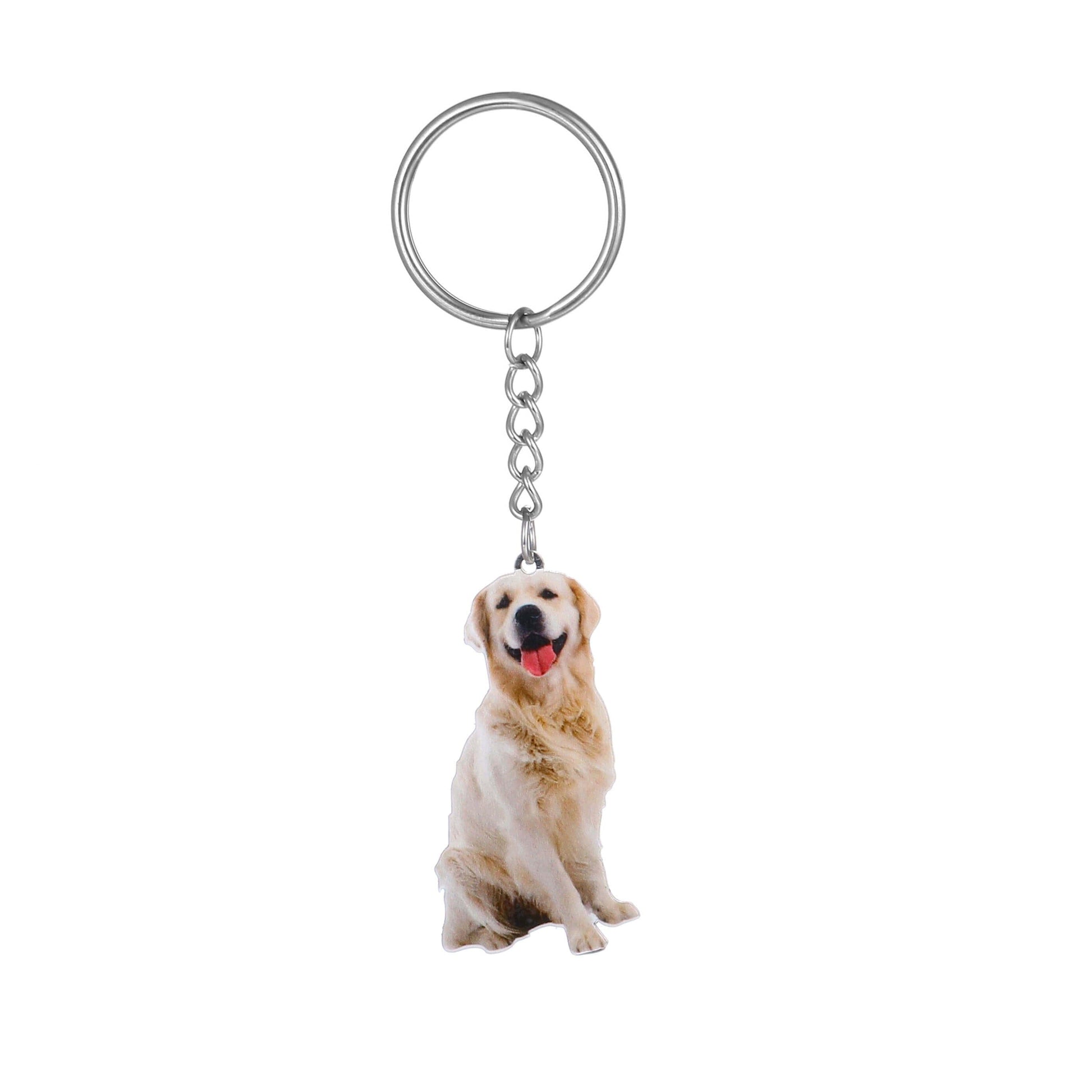 LOANYA Schlüsselanhänger aus Haustier Foto Keychains Loanya